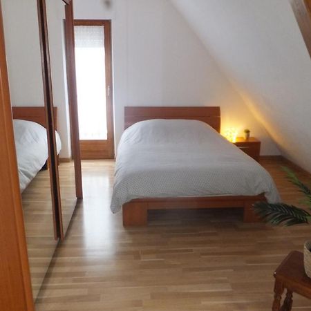 Superbe Appartement En Residence Betschdorf Екстер'єр фото